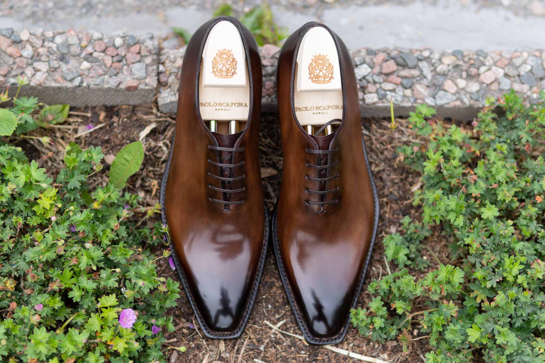 Paolo Scafora 17-5B Wholecut Oxford in Montella Calf for The Noble Shoe 5