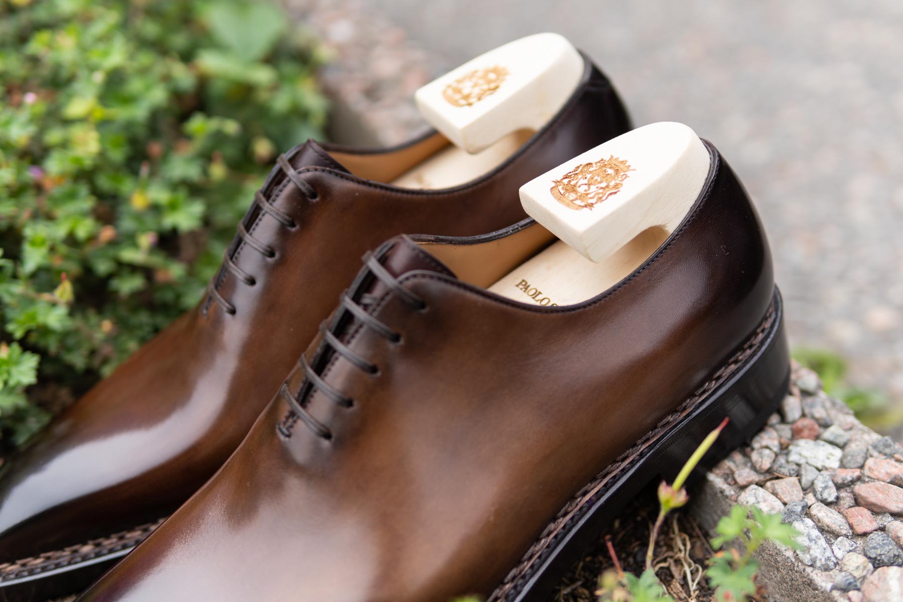 Paolo Scafora 17-5B Wholecut Oxford in Montella Calf for The Noble Shoe 4